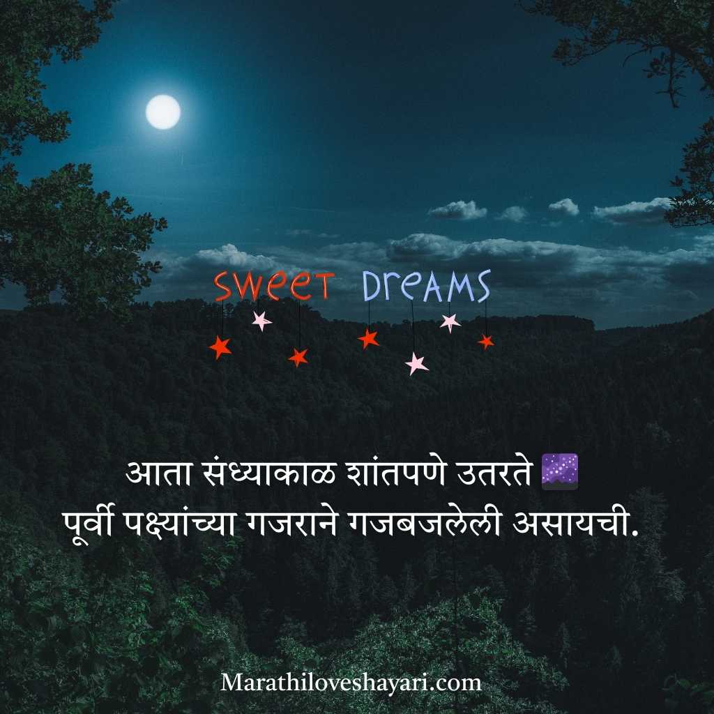 Beautiful Good Night WhatsApp Status